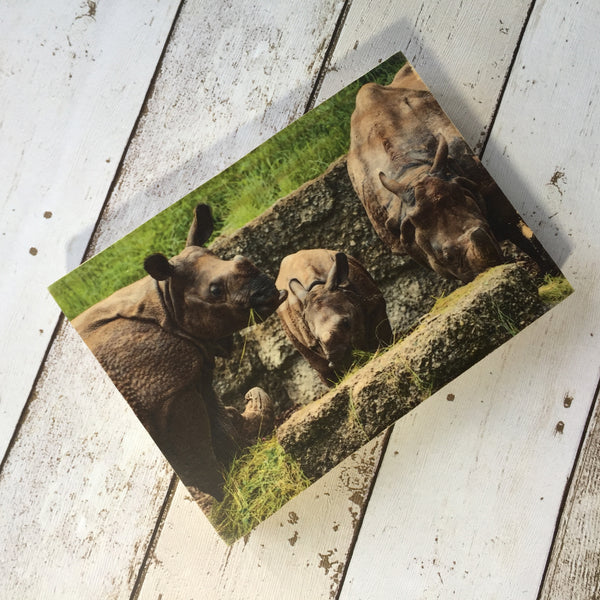 5x7" Custom Wood Photo Block