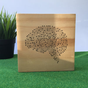 Artificial Brain