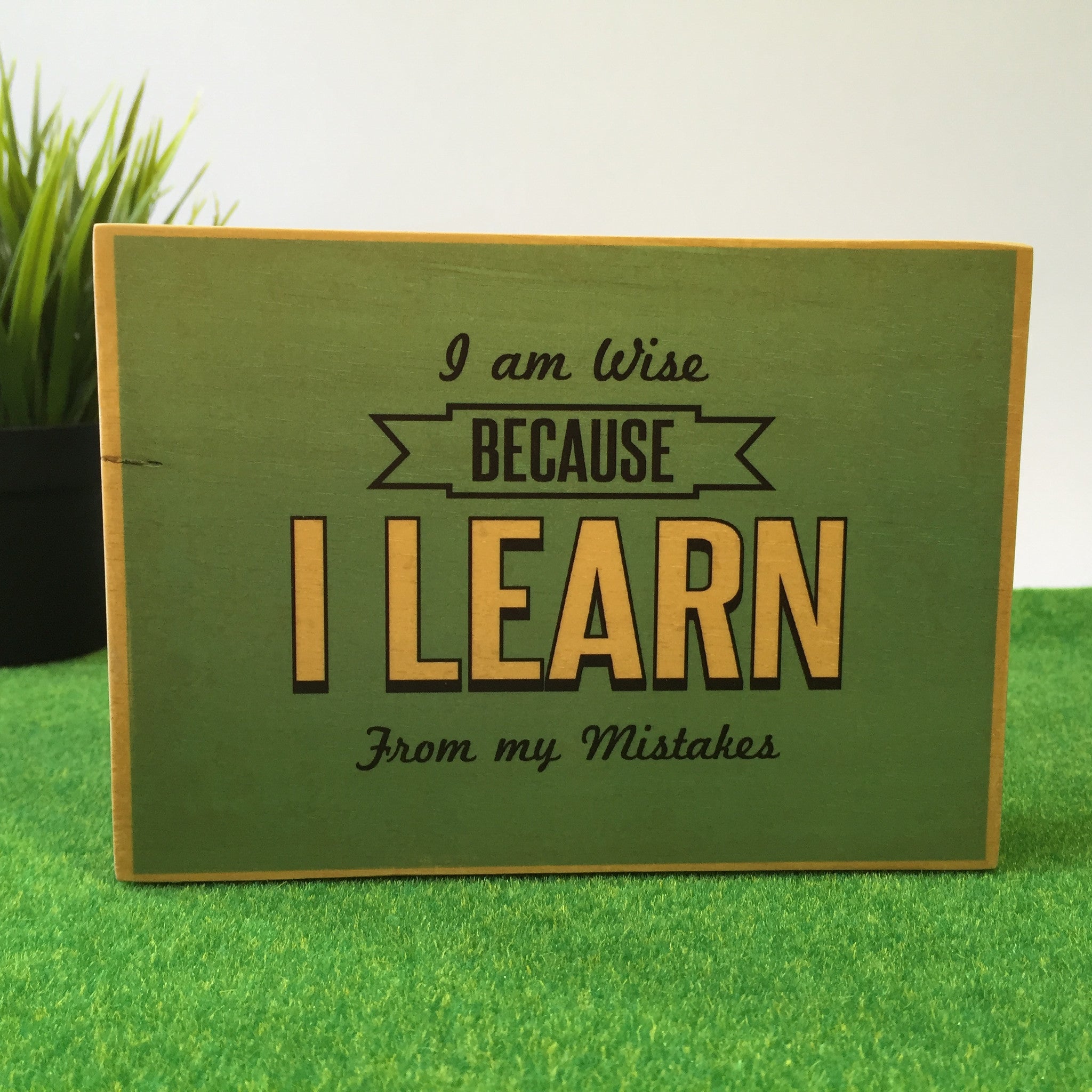 I Am Wise Because I Learn From My Mistakes