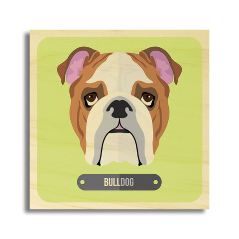 Bulldog Dog