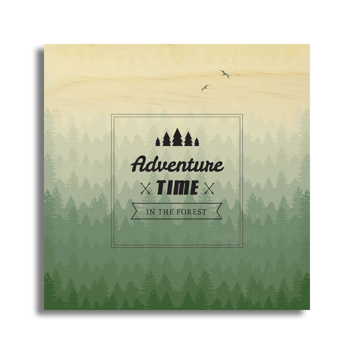 Adventure Time In The Forest