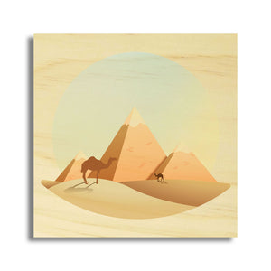 Egyptian Desert