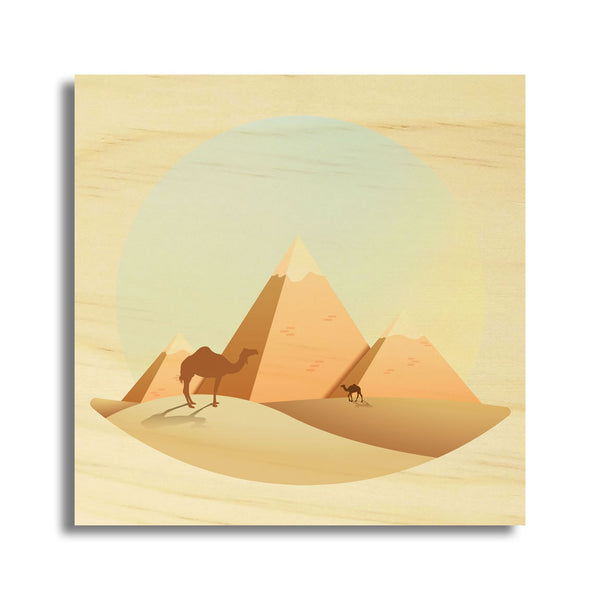 Egyptian Desert