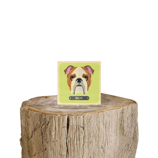 Bulldog Dog